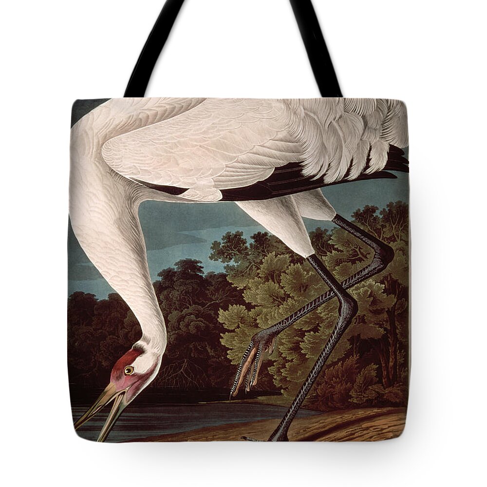Crane Tote Bag featuring the painting Whooping Crane by John James Audubon