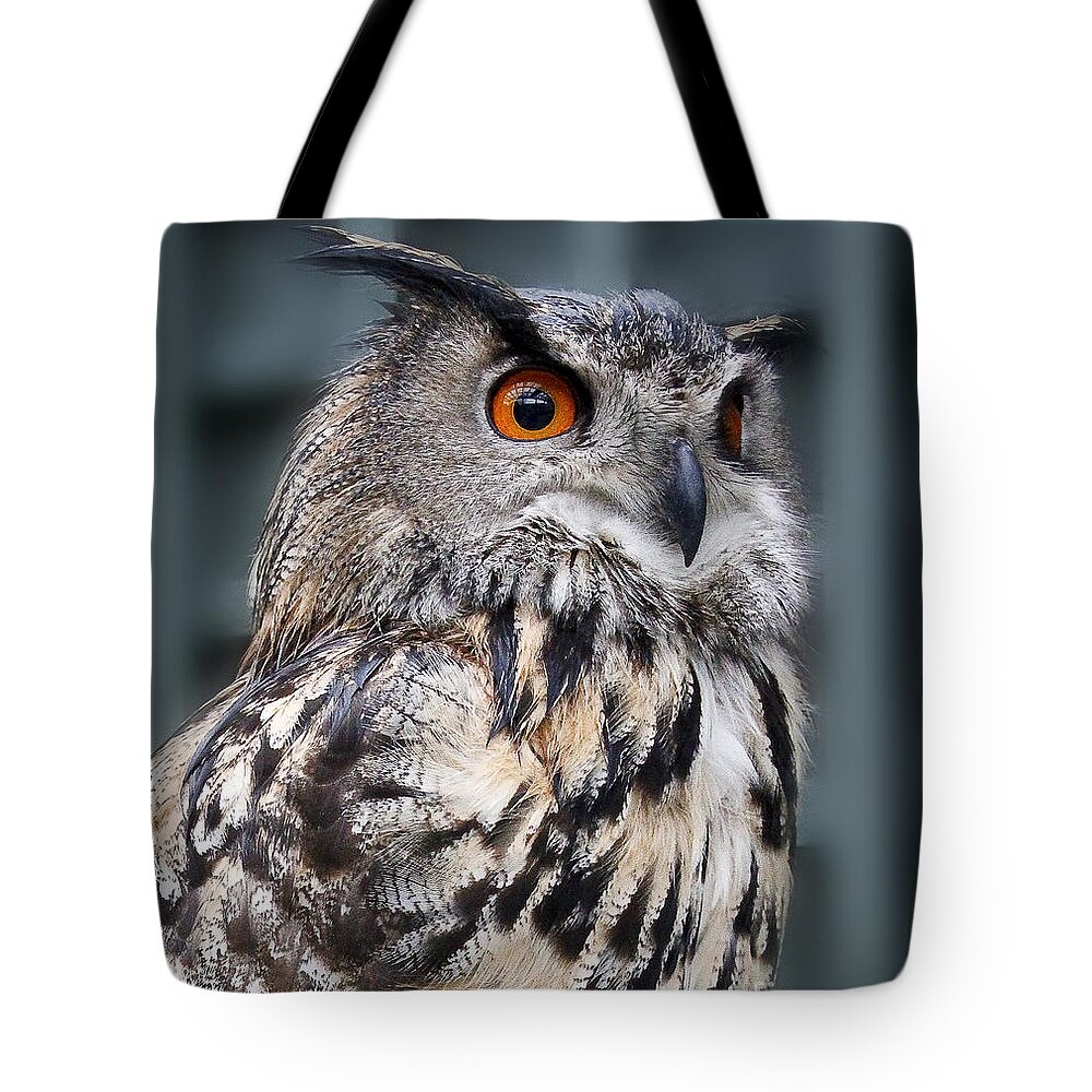 Owl Tote Bag featuring the photograph Who's Watching by Joann Long