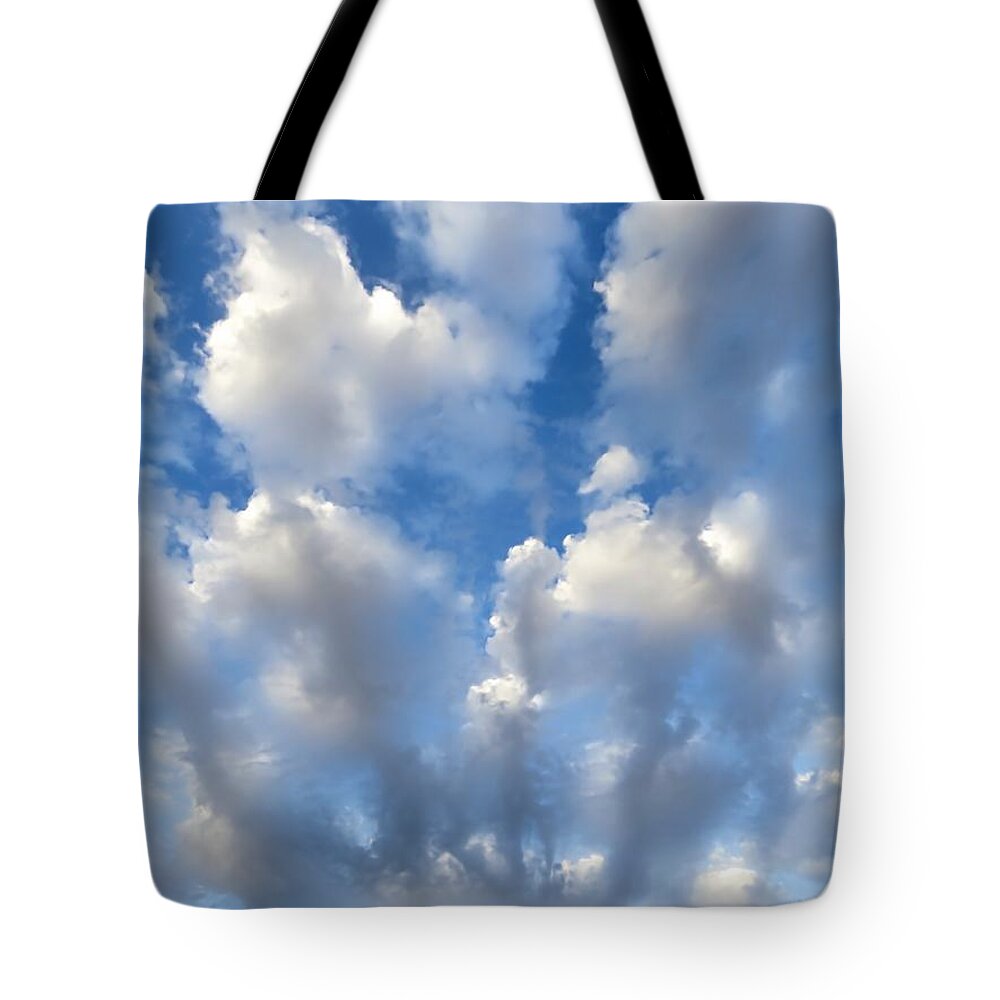 Arizona Skies Tote Bag featuring the photograph Whose Hand is This? by Judy Kennedy