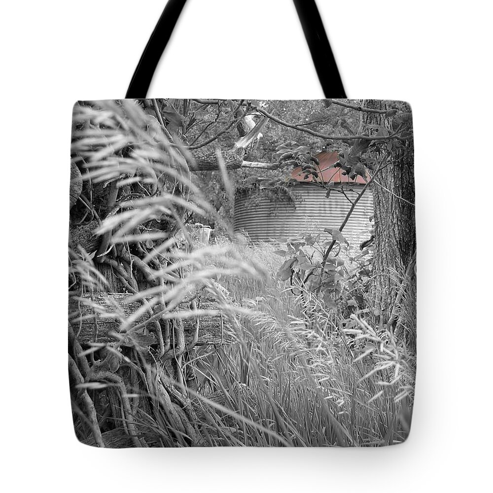 Landscape Tote Bag featuring the photograph Wilbur's Bin II by Dylan Punke