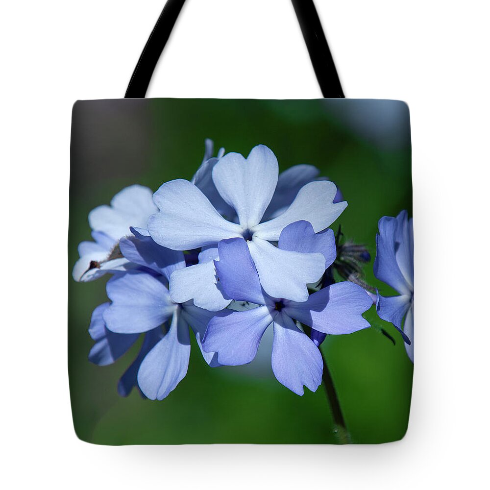 Phlox Family Tote Bag featuring the photograph Wild Blue Phlox DSPF0387 by Gerry Gantt
