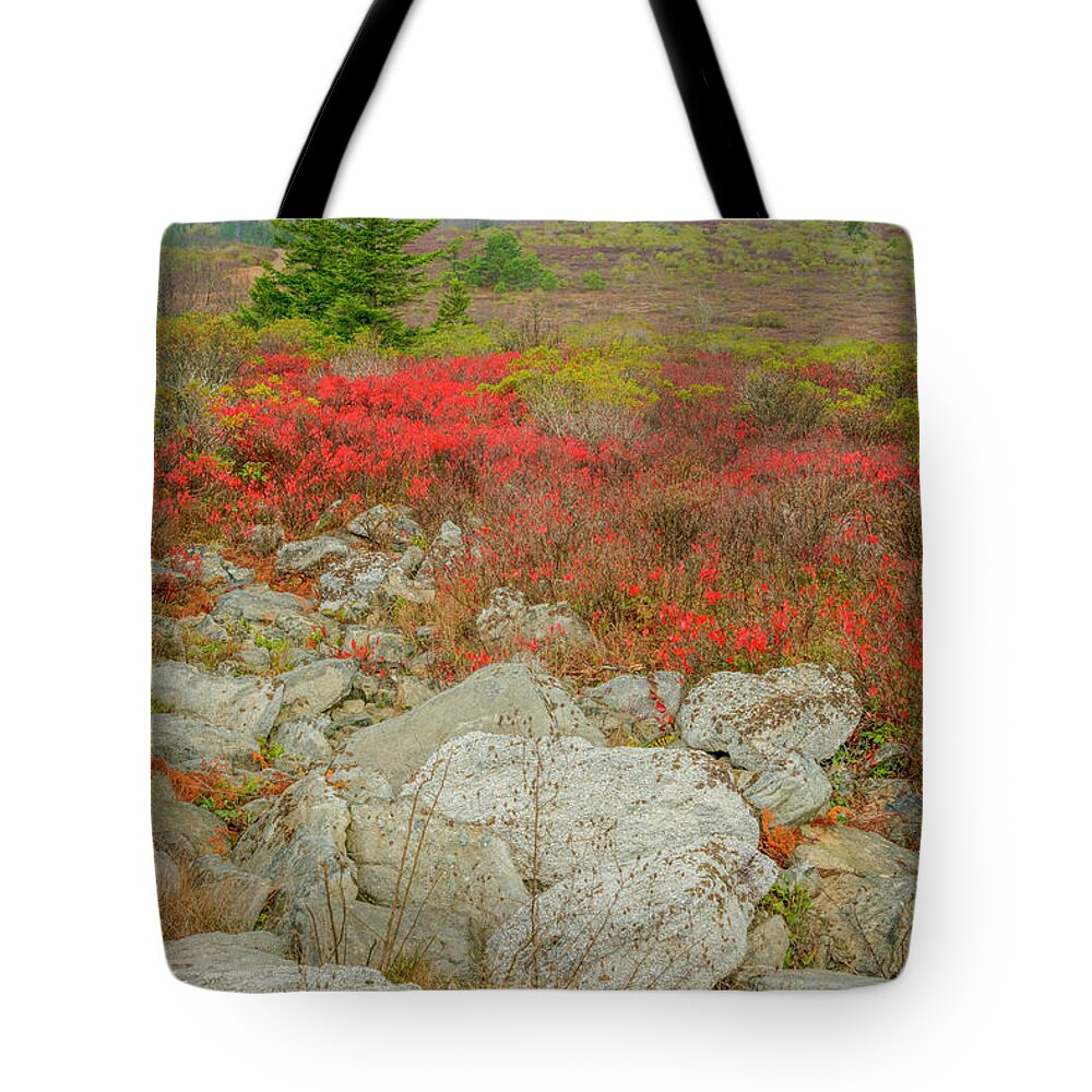 Fall Color Tote Bag featuring the photograph Wild Blueberries by David Waldrop