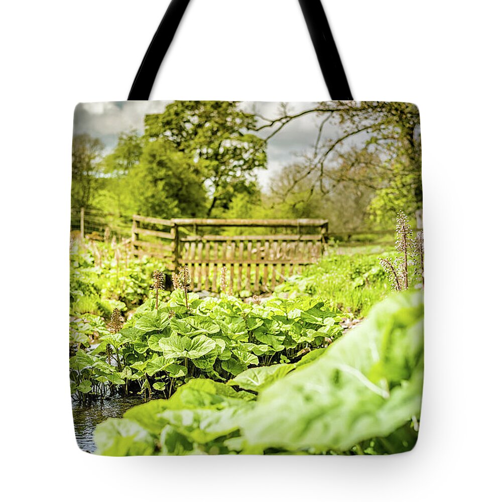 Butterbur Tote Bag featuring the photograph Wild Butterbur by Nick Bywater