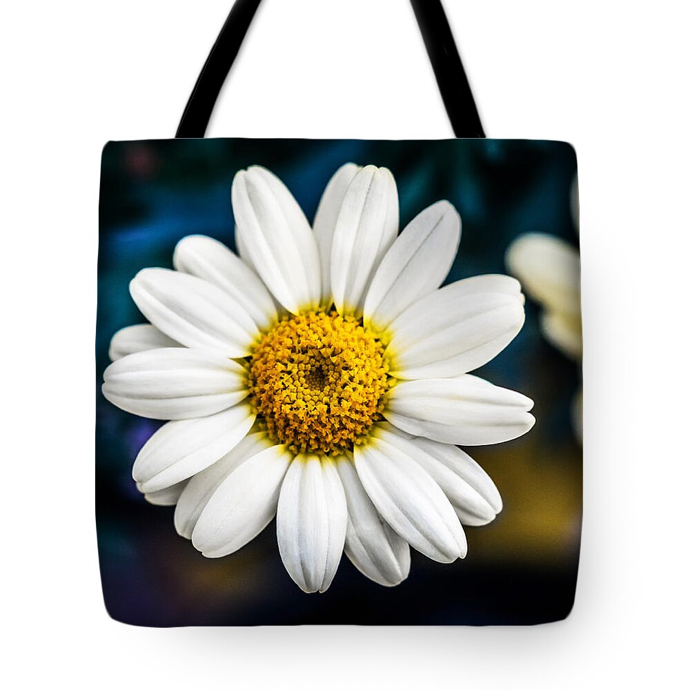 Daisy Tote Bag featuring the photograph Wild Daisy by Nick Bywater