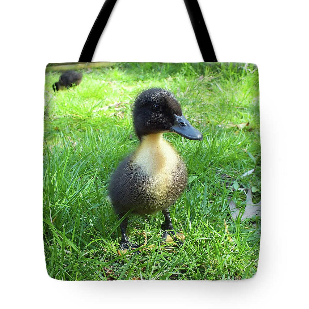Duck Tote Bag featuring the photograph Wild Flower Duckling by Kimmary MacLean