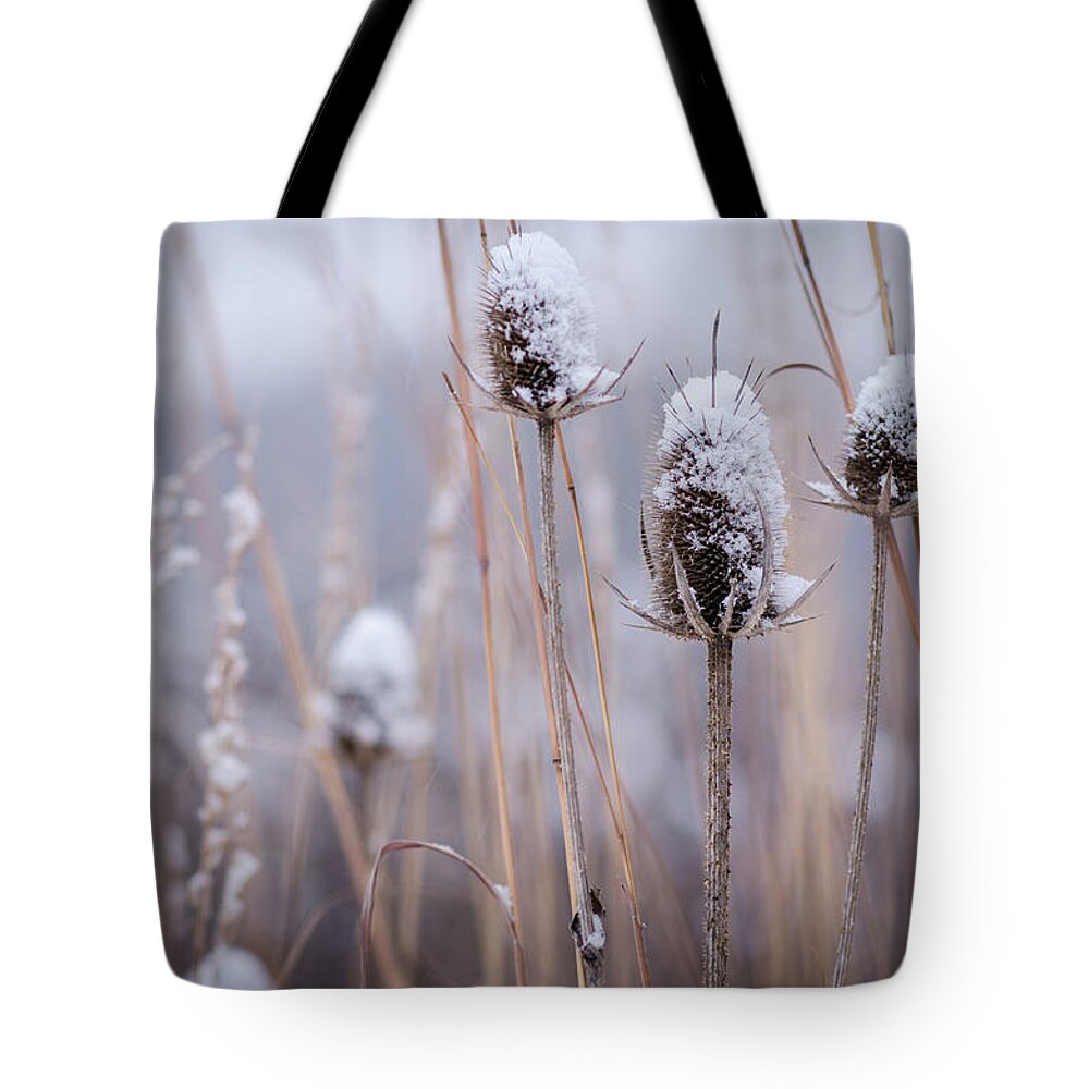 Winterpacht Tote Bag featuring the photograph Wild Forests by Miguel Winterpacht