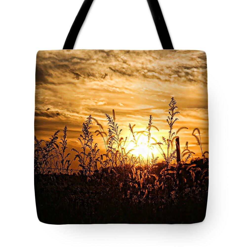 Grasses Tote Bag featuring the photograph Wild Grasses At Sunset by HH Photography of Florida