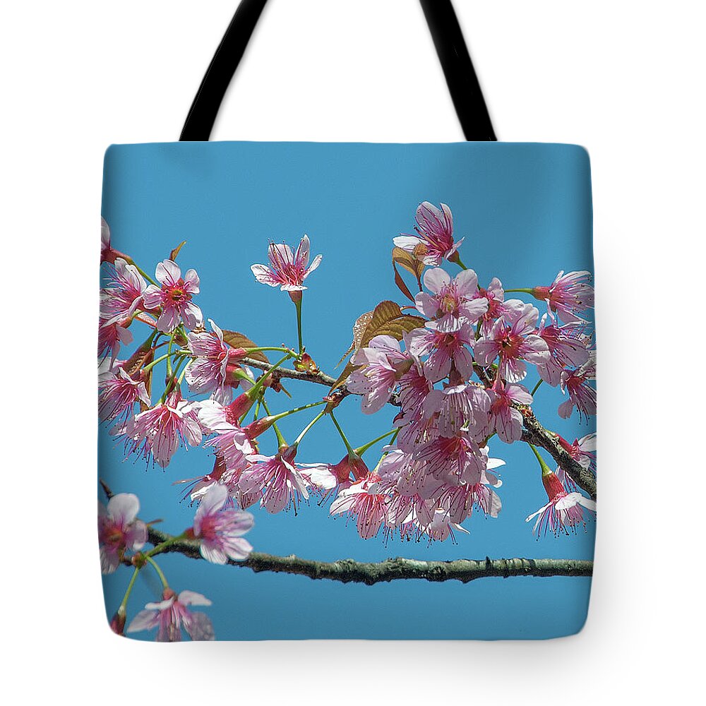 Nature Tote Bag featuring the photograph Wild Himalayan Cherry DTHN0220 by Gerry Gantt