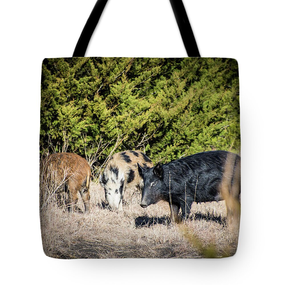 Hogs Tote Bag featuring the photograph Wild Hogs by Cheryl McClure