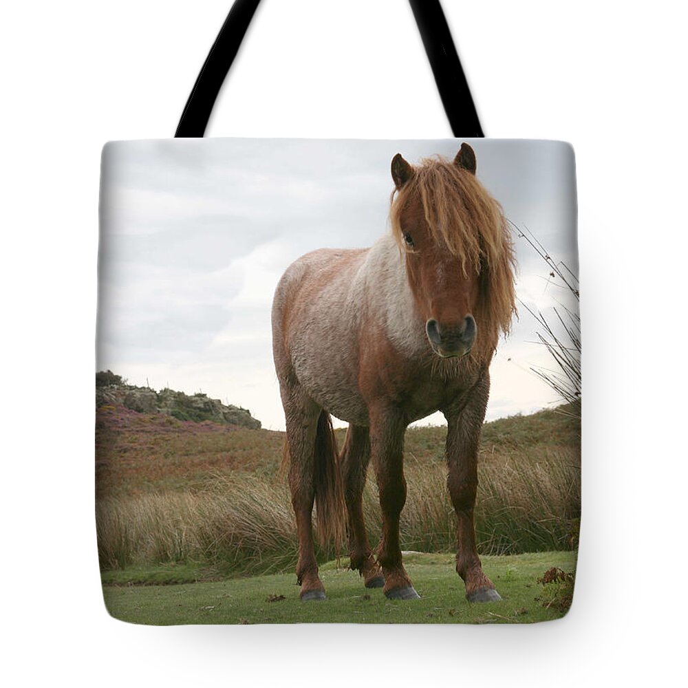 Horse Tote Bag featuring the photograph Wild horse by Christopher Rowlands