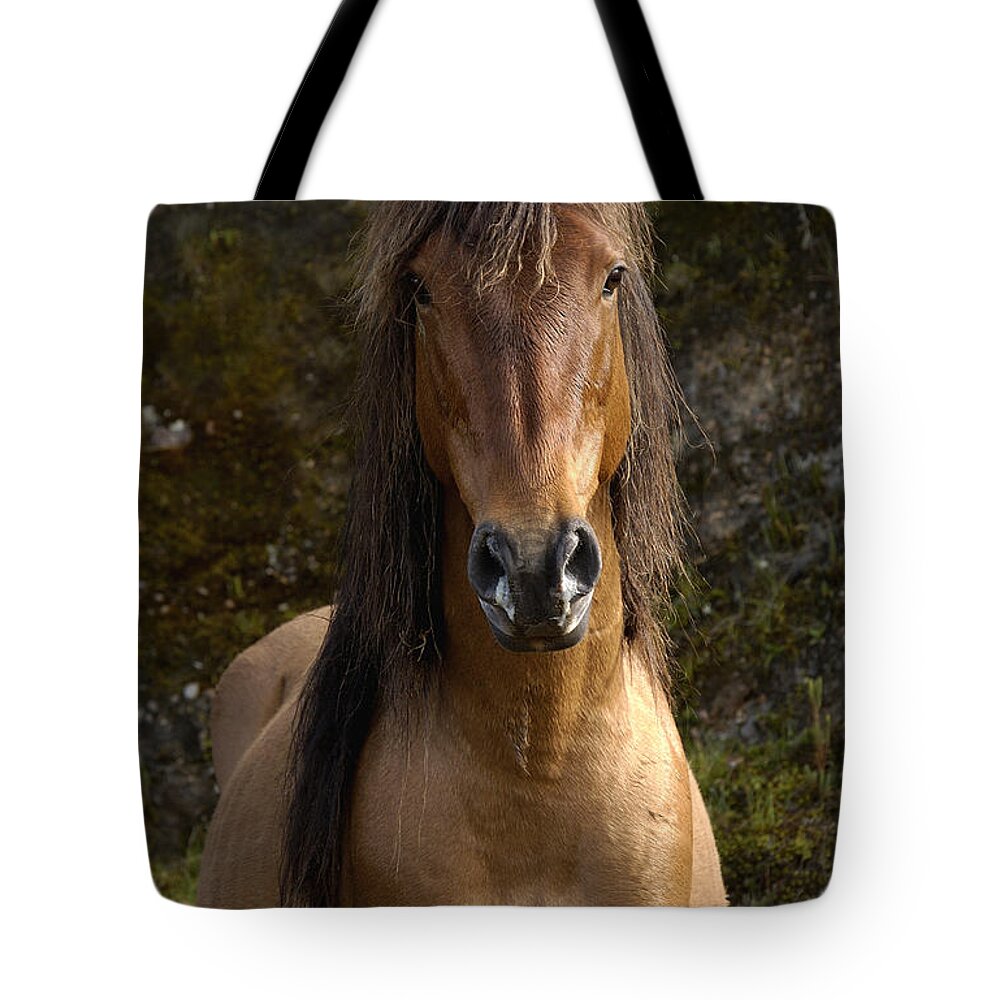 Mp Tote Bag featuring the photograph Wild Horse Equus Caballus In Open by Pete Oxford