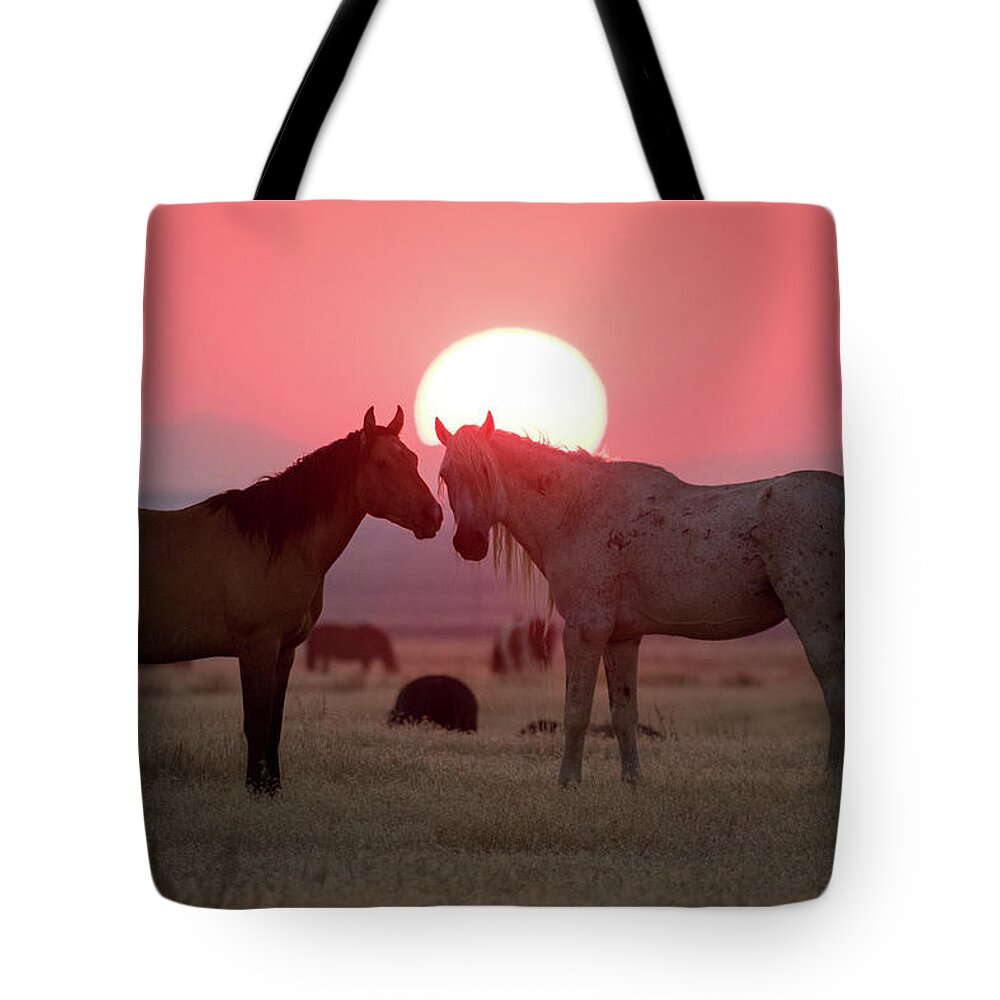 Wild Horse Tote Bag featuring the photograph Wild Horse Sunset by Wesley Aston