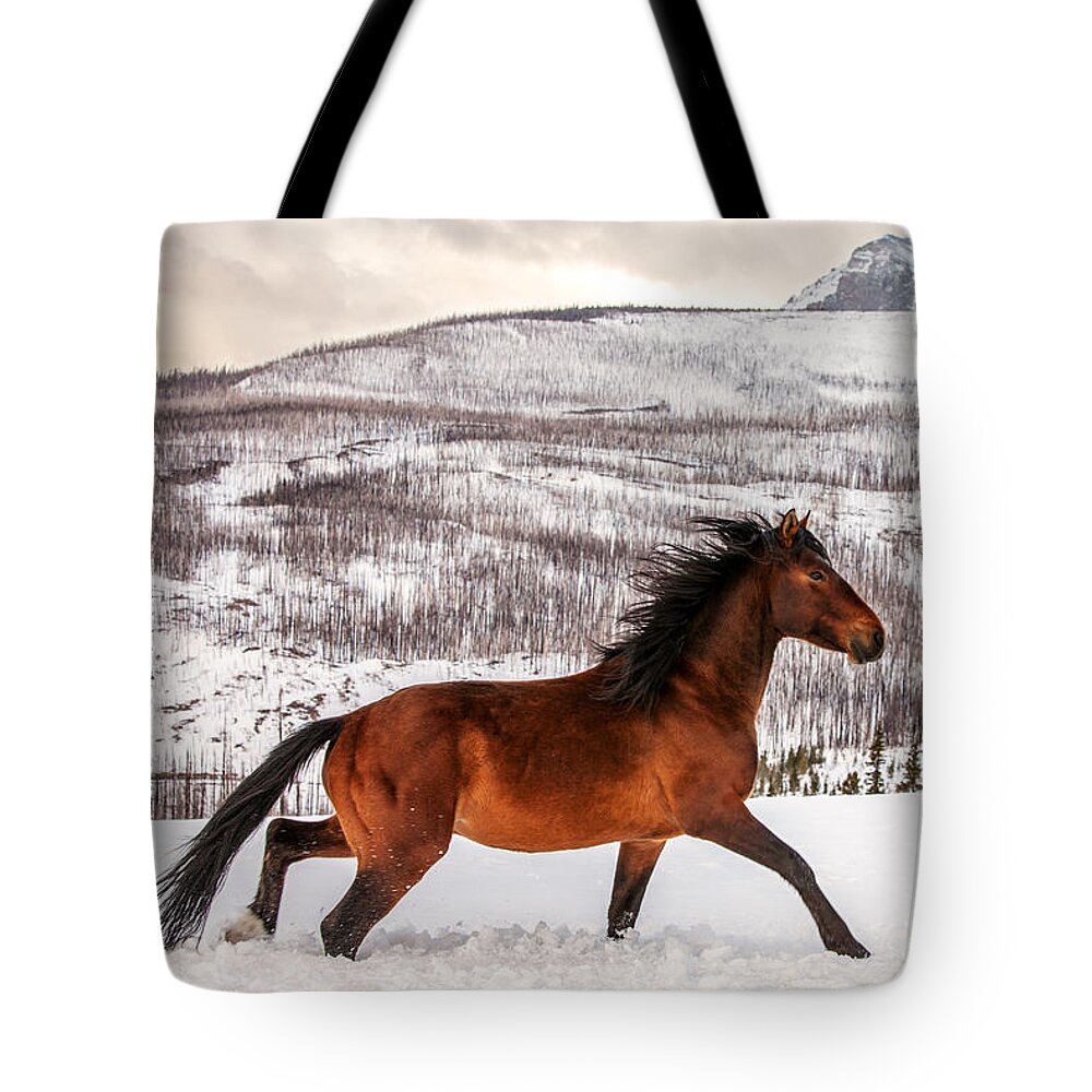 Feral Horse Tote Bags