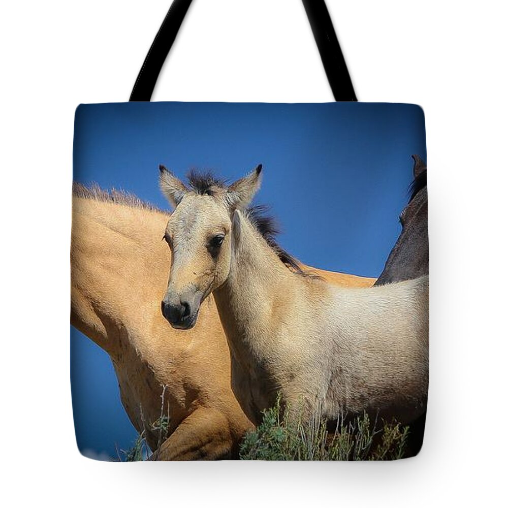 Horses Tote Bag featuring the photograph Wild Horses on Blue Sky by Veronica Batterson