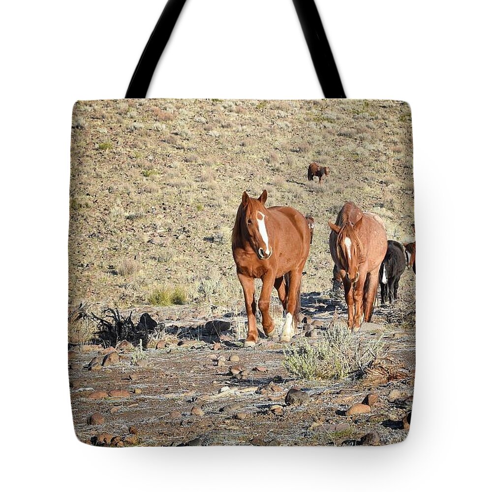 Virginia Range Mustangs Tote Bag featuring the photograph Wild Horses by Maria Jansson