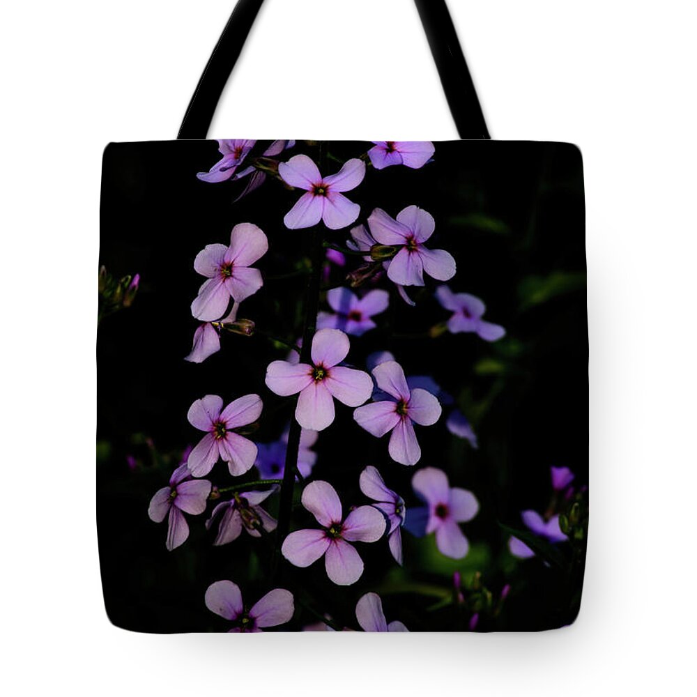 Dames Rocket Tote Bag featuring the photograph Wild in the Dark by Tikvah's Hope
