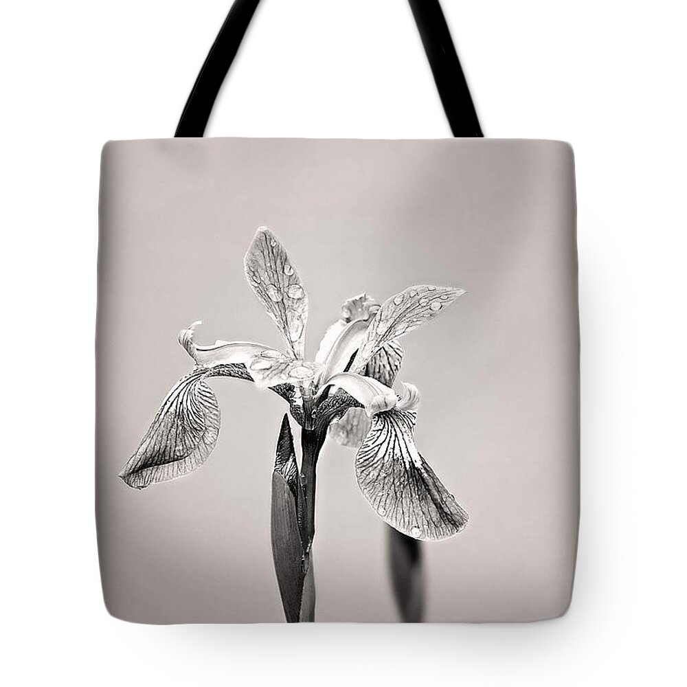 Wild Iris Photo Tote Bag featuring the photograph Wild Iris Black and White Print by Gwen Gibson