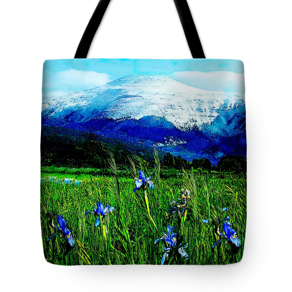 Blue Flowers Tote Bag featuring the photograph Wild Irises and La Jicarita Peak Penasco by Anastasia Savage Ealy