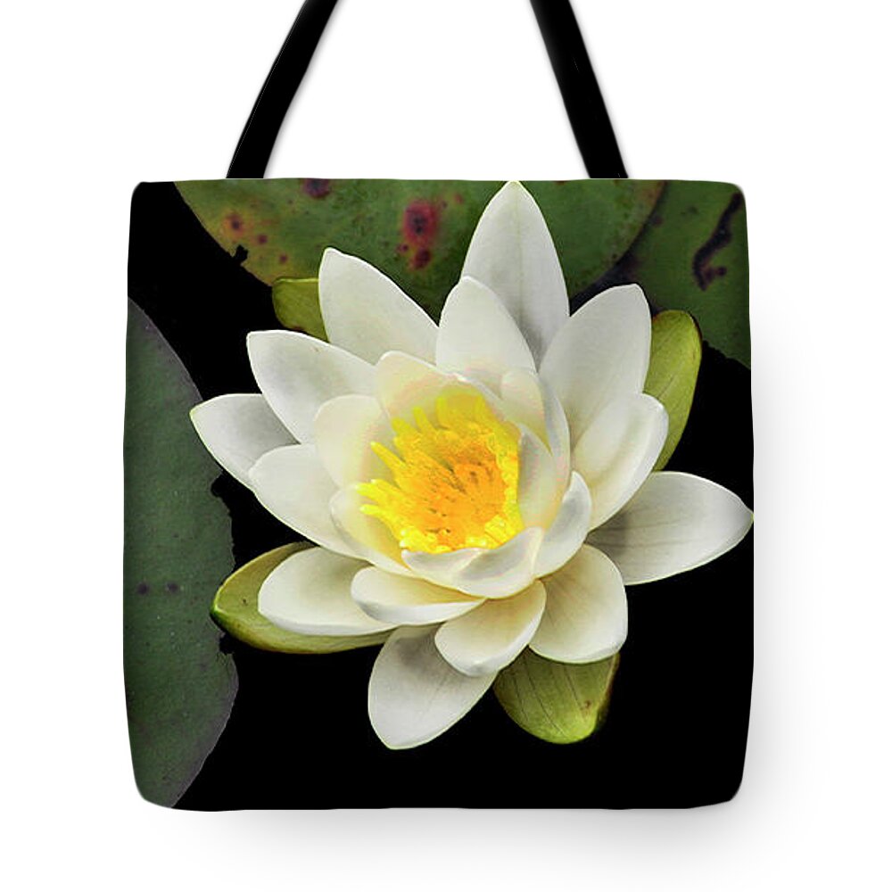 Diane Berry Tote Bag featuring the photograph Wild Lily by Diane E Berry