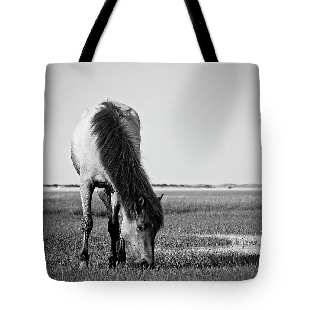 Wild Tote Bag featuring the photograph Wild Mustang by Bob Decker