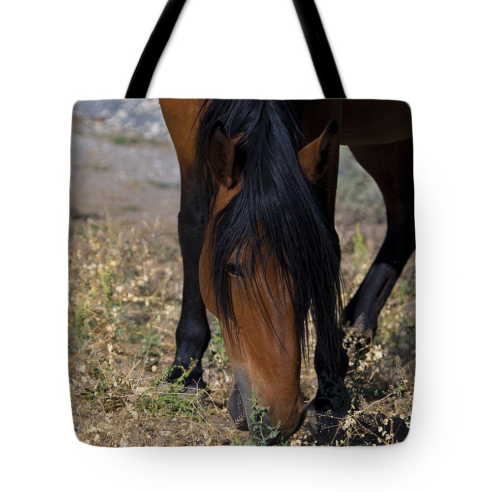 Horses Tote Bag featuring the photograph Wild Mustang Mare Head Shot by Waterdancer 