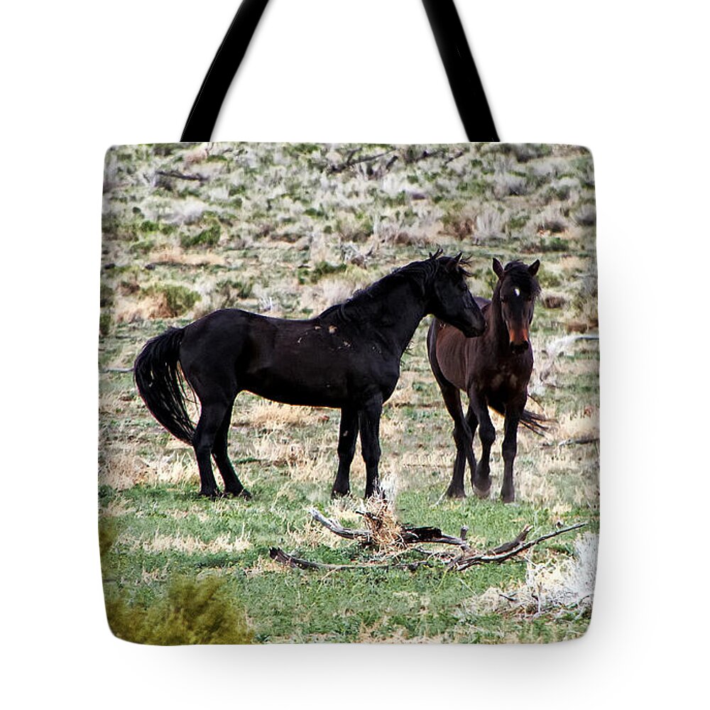 Horses Tote Bag featuring the photograph Wild Mustang Stallions by Waterdancer