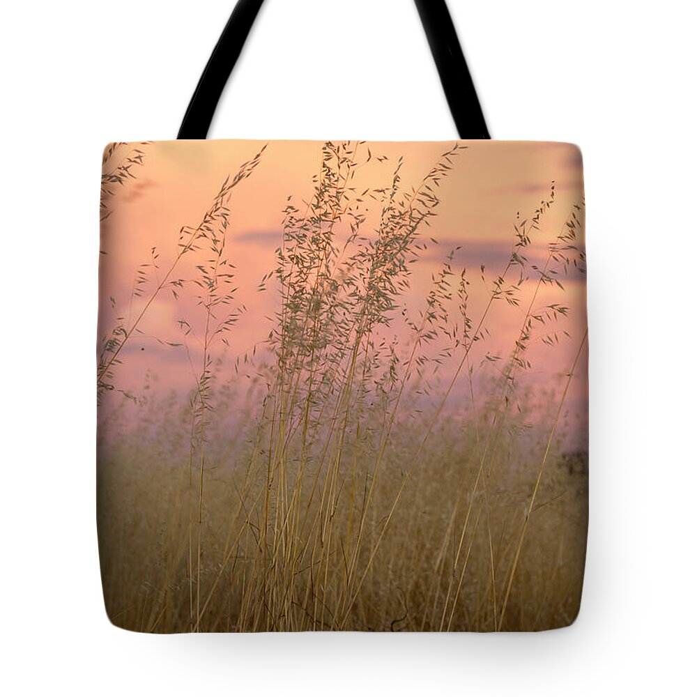 Grass Tote Bag featuring the photograph Wild Oats by Linda Lees