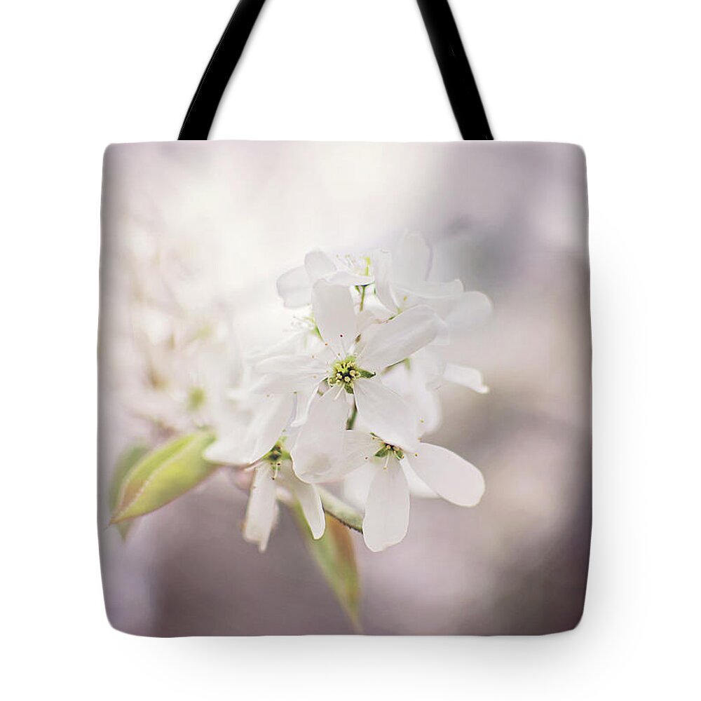 Wild Plum Tree Blossom Tote Bag featuring the photograph Wild Plum Tree Blossom by Gwen Gibson