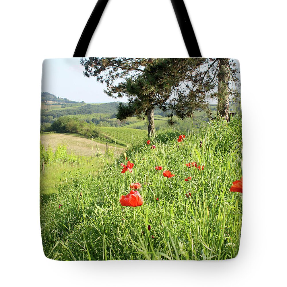 Poppy Tote Bag featuring the photograph Wild Red Poppies over Italian vineyard and farm in Tuscany by Adam Long