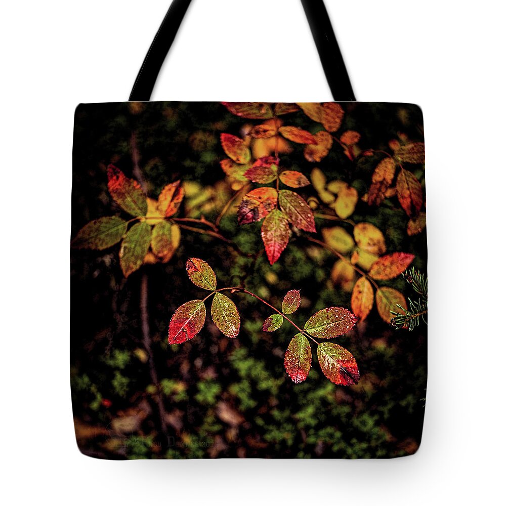 Nature Tote Bag featuring the photograph Wild Rose Colors by Fred Denner
