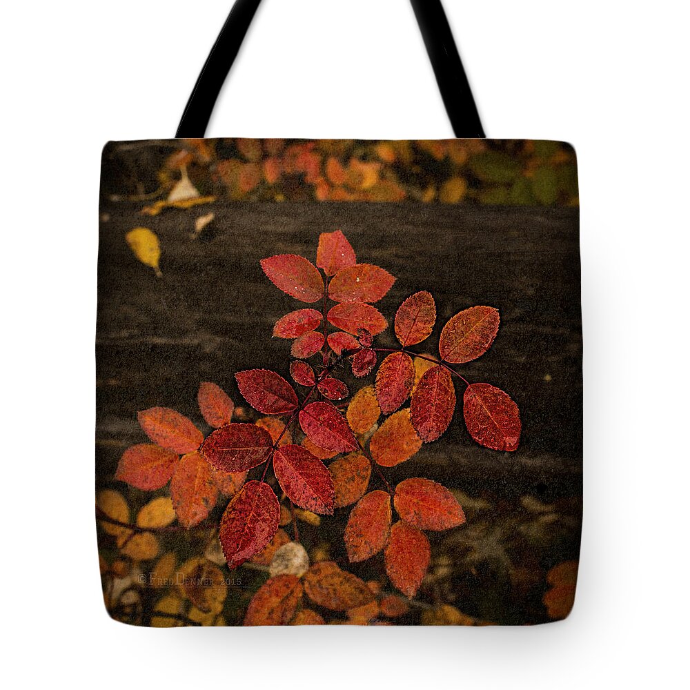 Plant Tote Bag featuring the photograph Wild Rose Leaves by Fred Denner