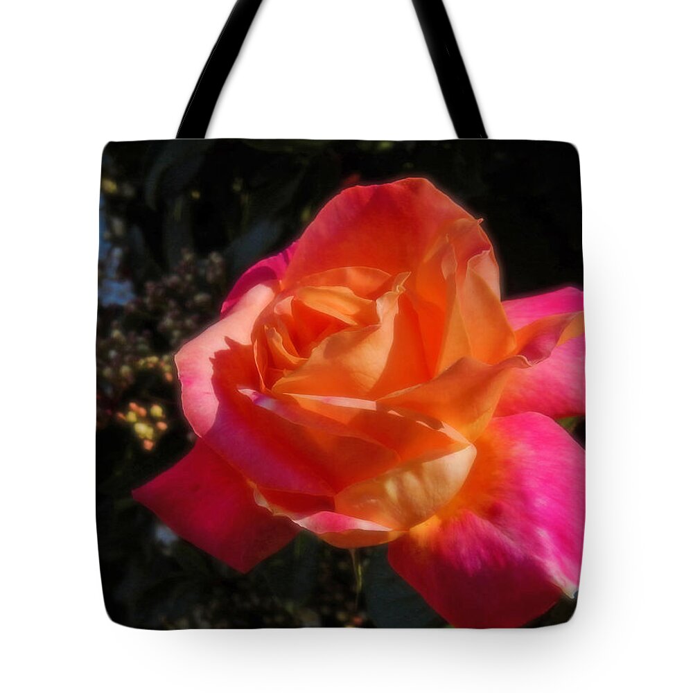 Rose Tote Bag featuring the photograph Wild Rose by Mark Blauhoefer