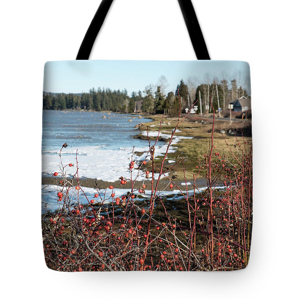 Wild Roses And Ice Crusts Tote Bag featuring the photograph Wild Roses and Ice Crust by Tom Cochran