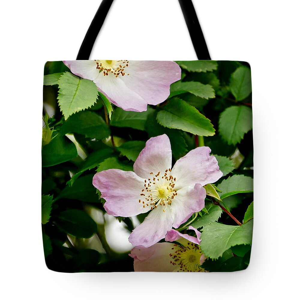 Wild Roses Tote Bag featuring the photograph Wild Roses. Trio. by Elena Perelman
