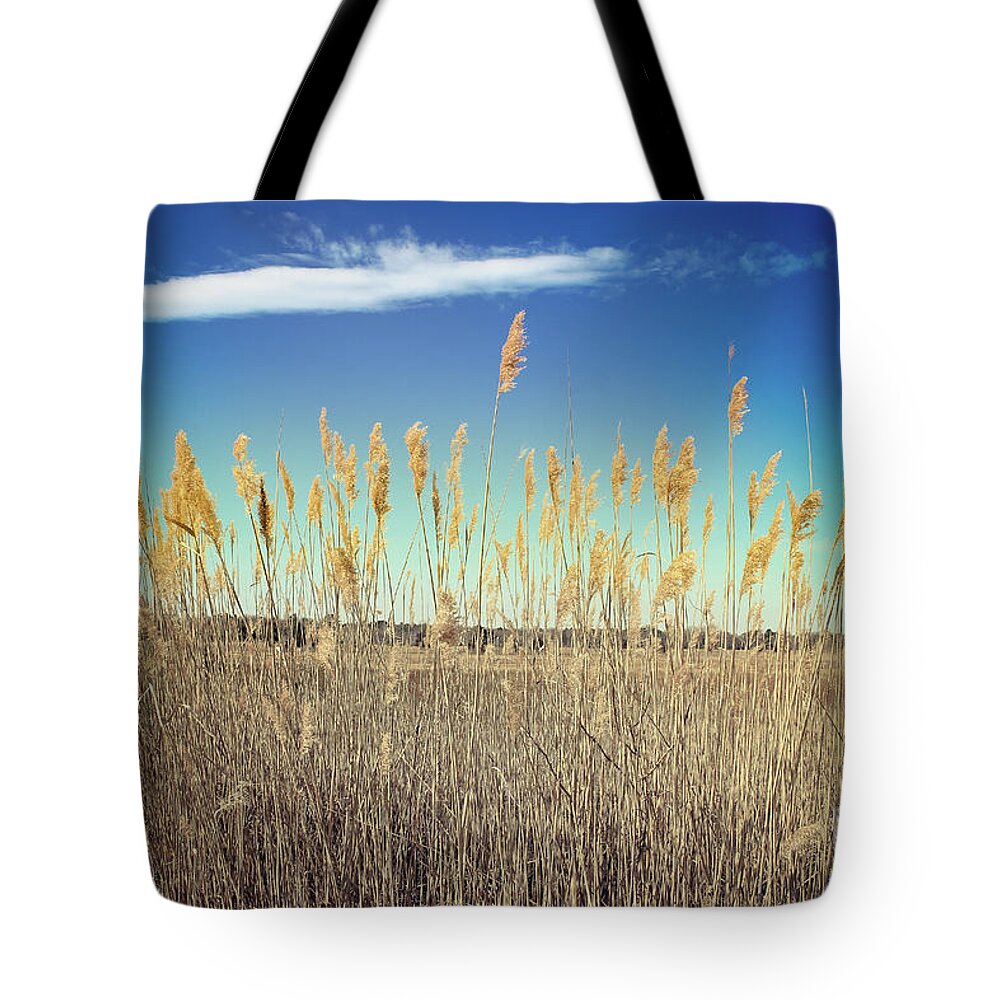 Nature Tote Bag featuring the photograph Wild Sea Oats by Colleen Kammerer