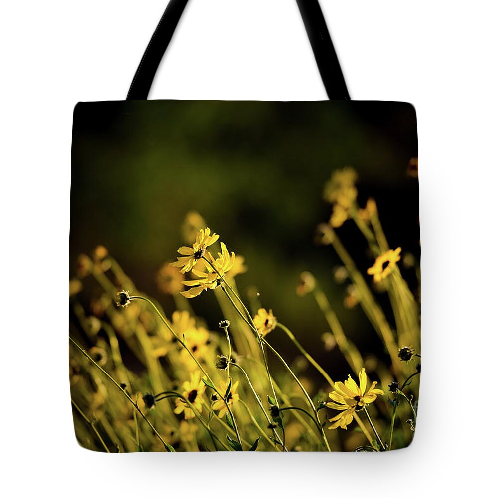Wild Spring Flowers Tote Bag featuring the photograph Wild Spring Flowers by Kelly Wade
