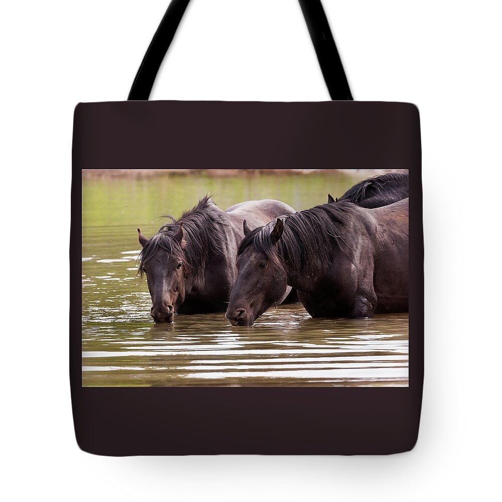 Mark Miller Photos Tote Bag featuring the photograph Wild Stallions at the Water Hole by Mark Miller