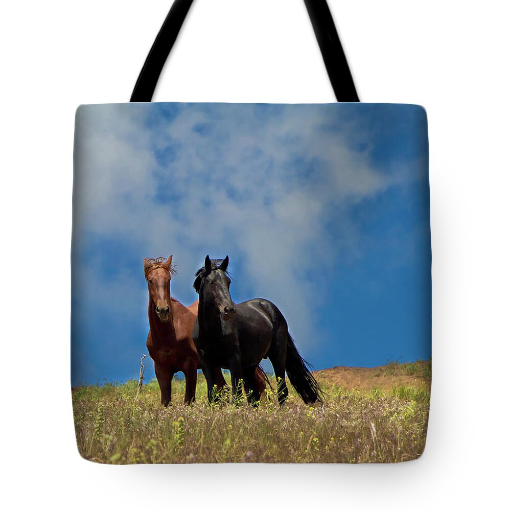 Horses Tote Bag featuring the photograph Wild Stallions together by Waterdancer
