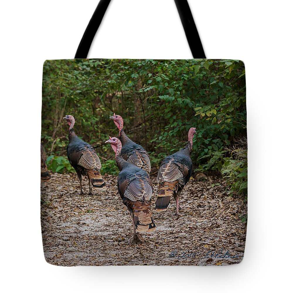 Heron Heaven Tote Bag featuring the photograph Wild Turkey Flock by Ed Peterson