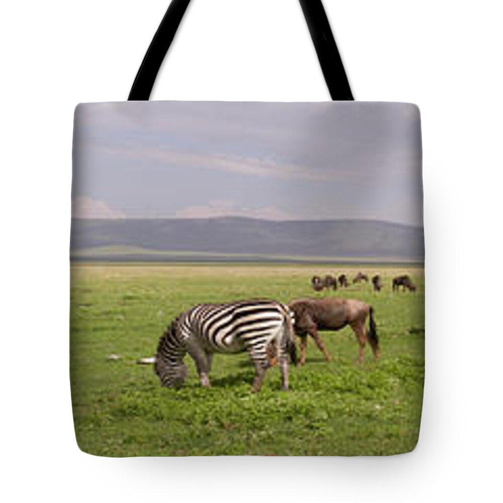 Africa Tote Bag featuring the photograph Wildebeest and zebra in panorama, Ngorongoro Crater, Tanzania by Karen Foley