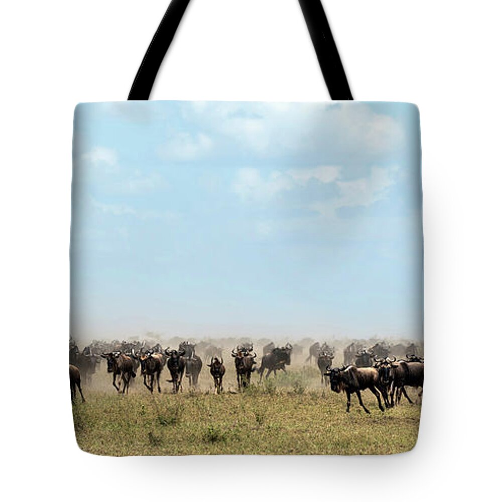 Arusha Tote Bag featuring the photograph Wildebeest in Serengueti during the Great Migration - Panorama by RicardMN Photography