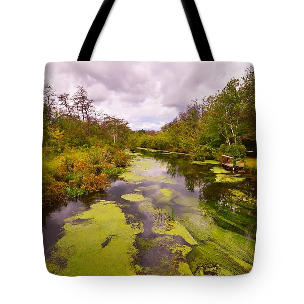 Featured Tote Bag featuring the photograph Wilderness Creek in the Autumn Woods by Stacie Siemsen