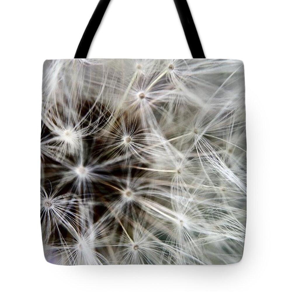 Wildflower Tote Bag featuring the photograph Wildflower 1 by Belinda Cox