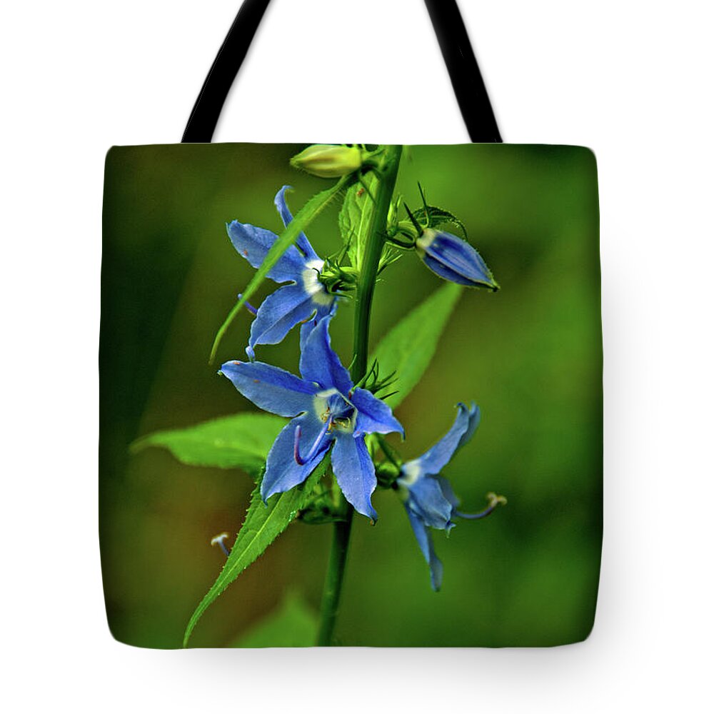 Wildflower Tote Bag featuring the photograph Wildflower Blues by Rebecca Higgins