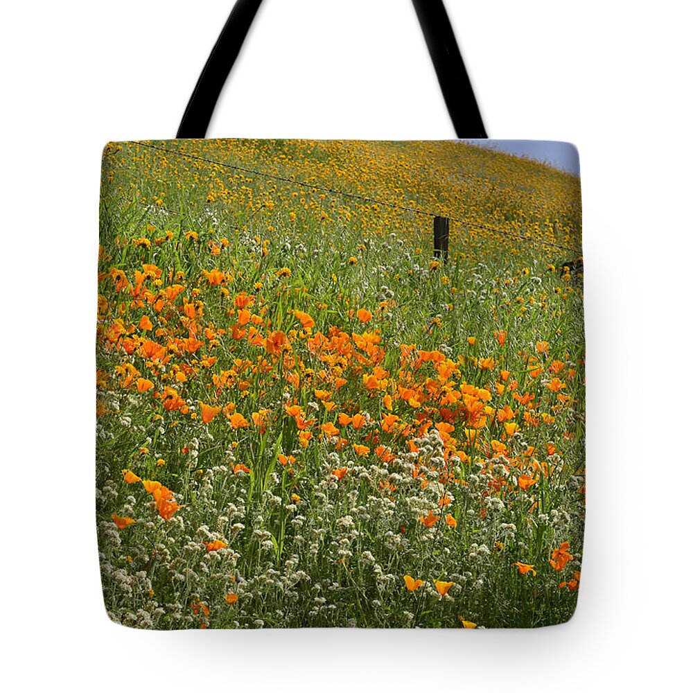 Sierra Nevada Tote Bag featuring the photograph Wildflower Foothill by Debby Pueschel