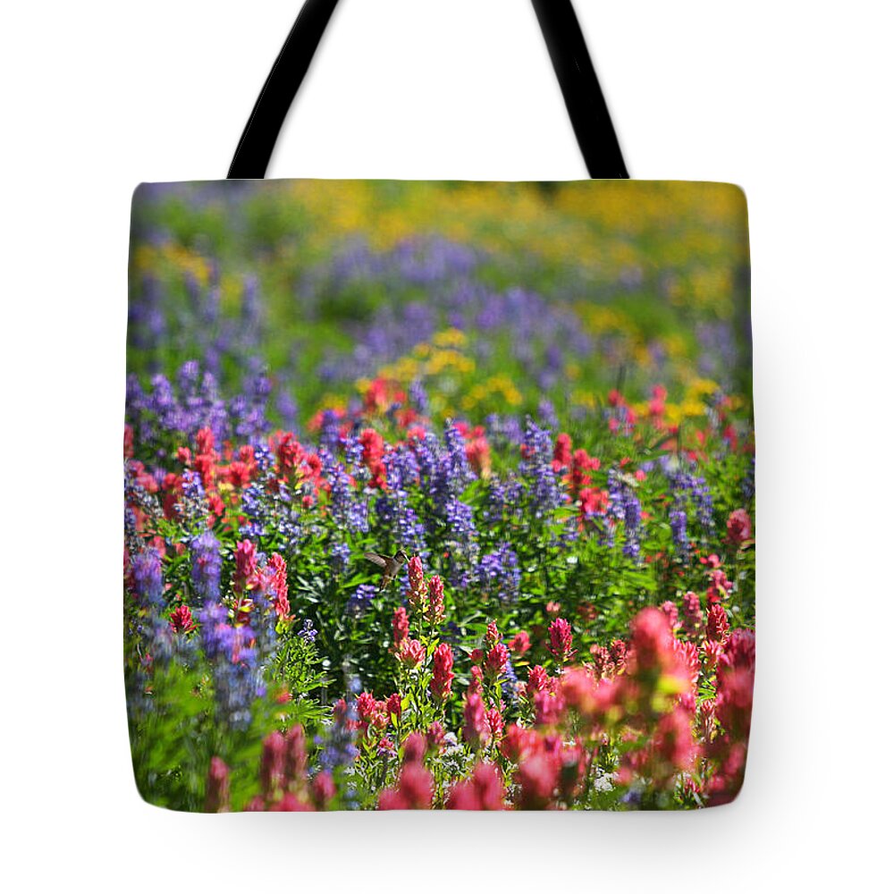 Wildflower Tote Bag featuring the photograph Wildflower Meadow and Hummingbird by Brett Pelletier