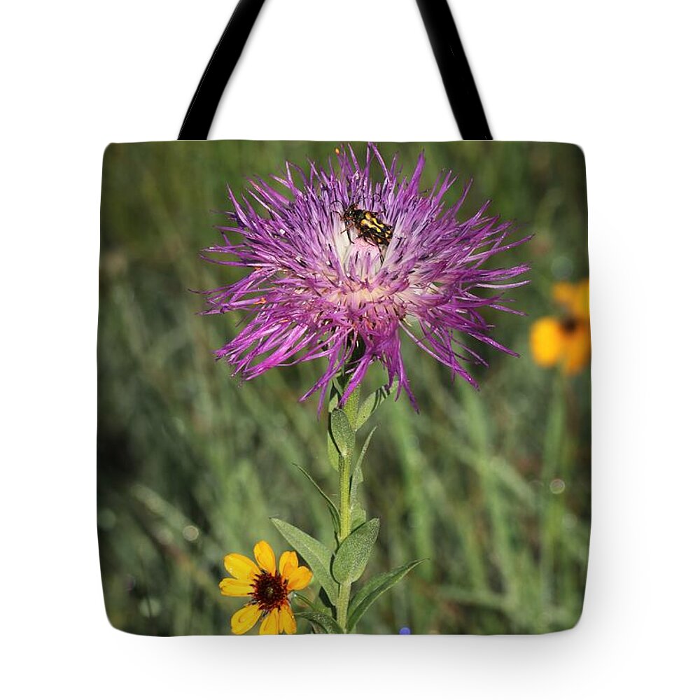 Nature Tote Bag featuring the photograph Wildflowers and Friend by Sheila Brown