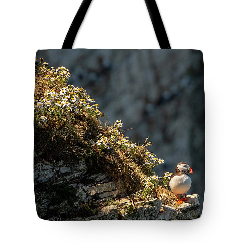 Wildlife Tote Bag featuring the photograph Wildflowers and Puffin by Cliff Norton