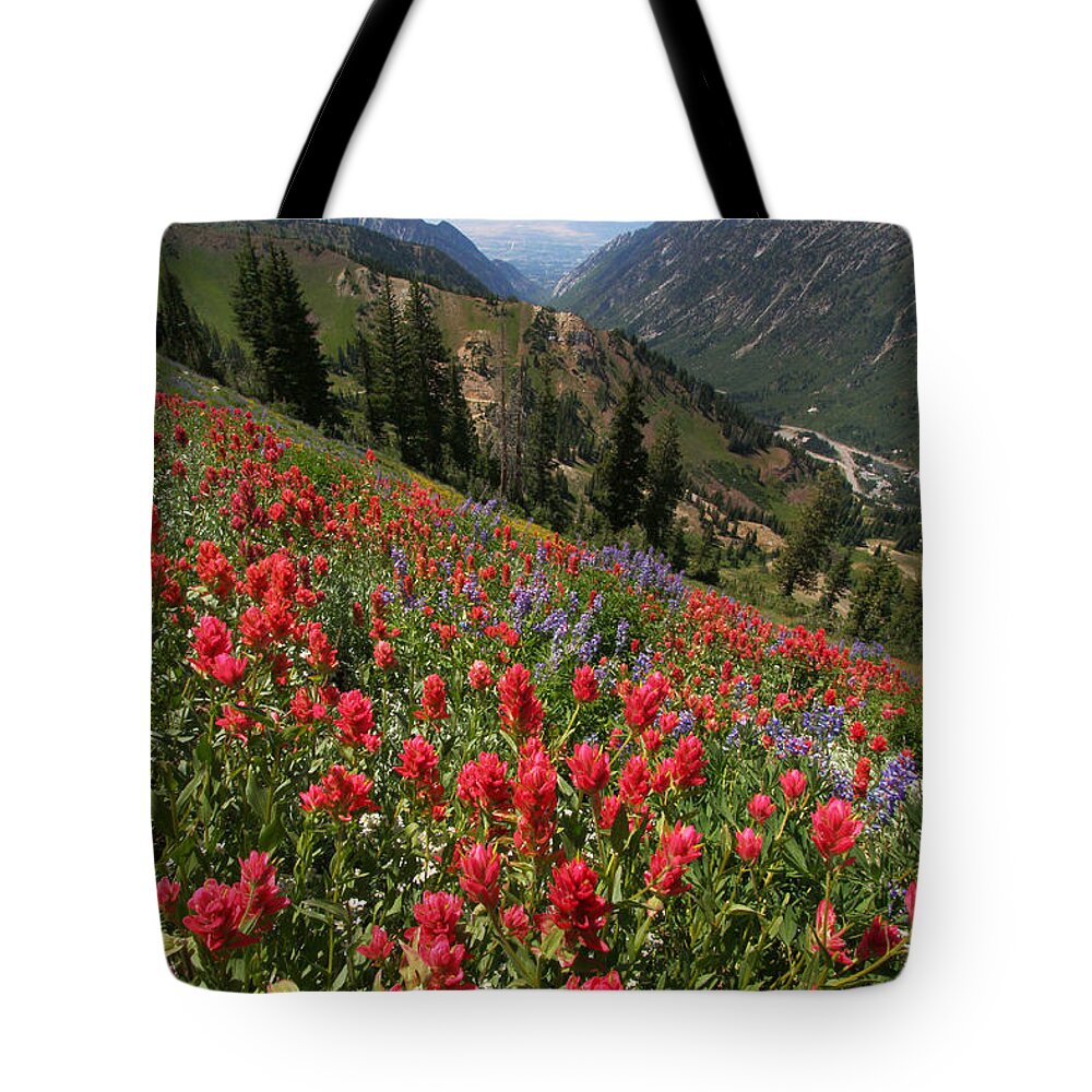 Landscape Tote Bag featuring the photograph Wildflowers and View Down Canyon by Brett Pelletier