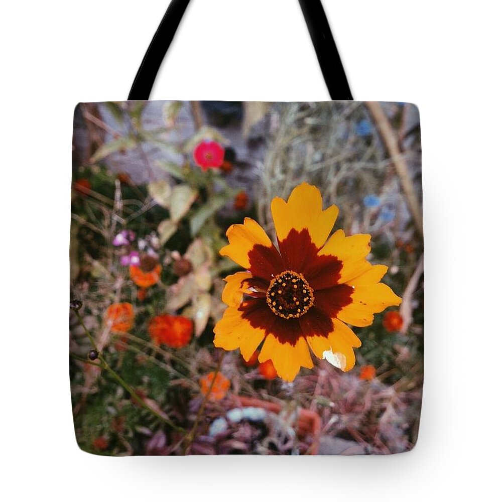 Wildflowers Tote Bag featuring the photograph Wildflowers by Annie Walczyk